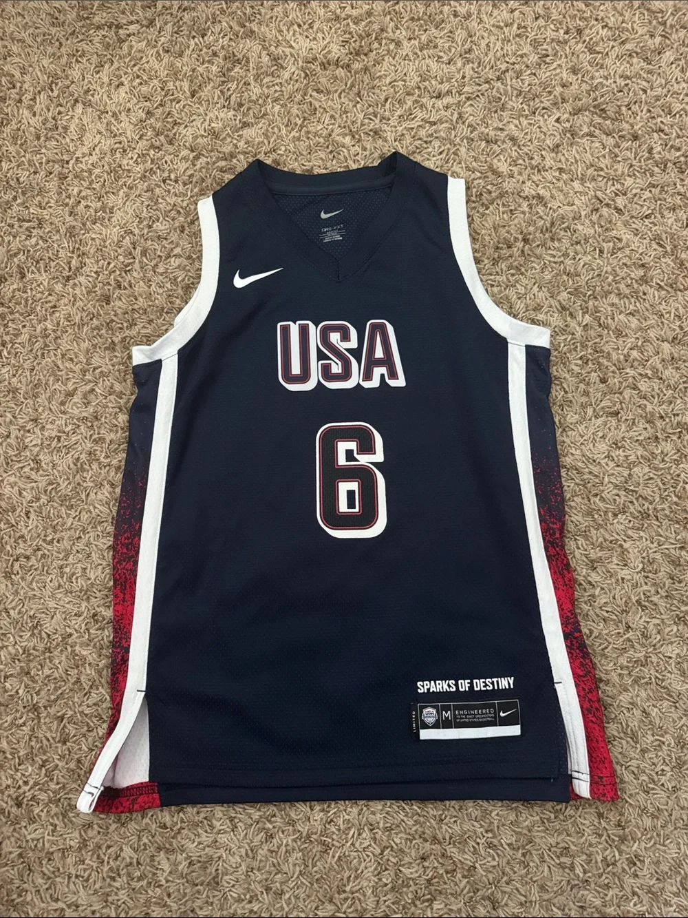 Team USA LeBron jersey kid